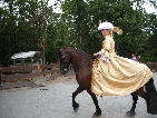 2009FestDerPferde