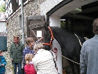 2010Herbstzauber