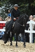 2010Herbstzauber