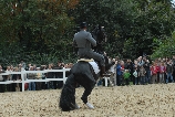 2010Herbstzauber