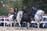 2010Herbstzauber