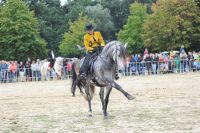 2016HerbstmarktFriedberg