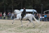 2016HerbstmarktFriedberg