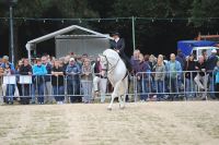 2016HerbstmarktFriedberg