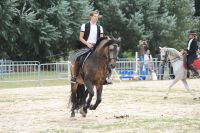 2016HerbstmarktFriedberg