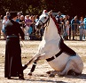 2019Herbstmarkt