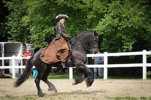 Reiter