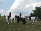 SommerfestTierpraxisKonschewski